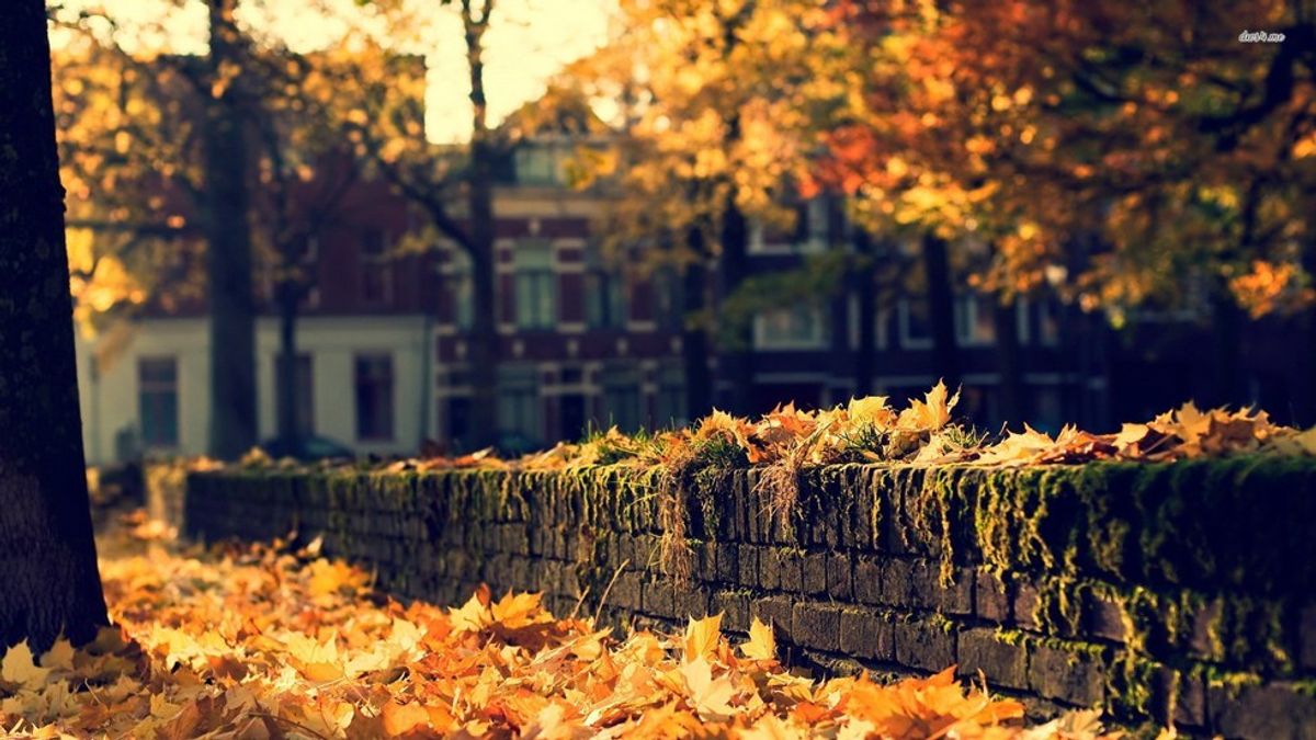 5 Best Things About Fall