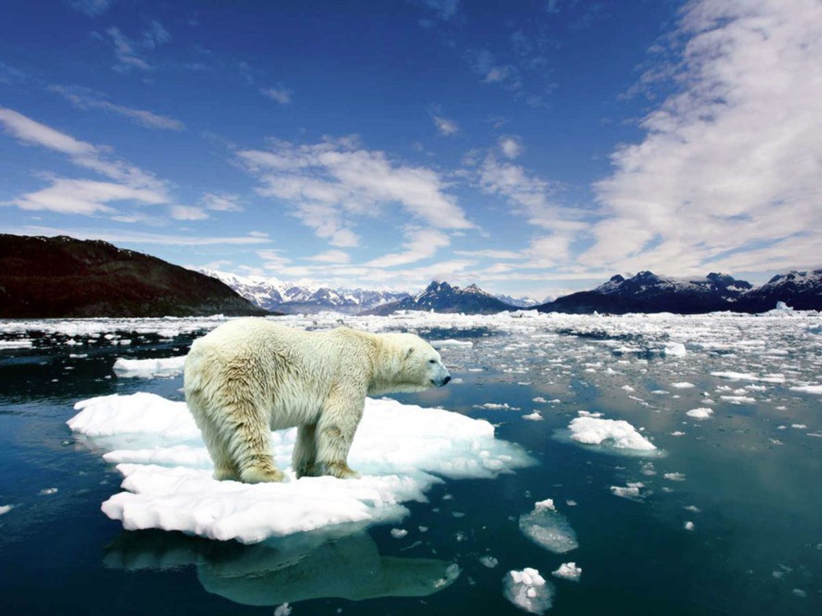 10 Thoughts I Have When I Hear 'Climate Change Is A Hoax'