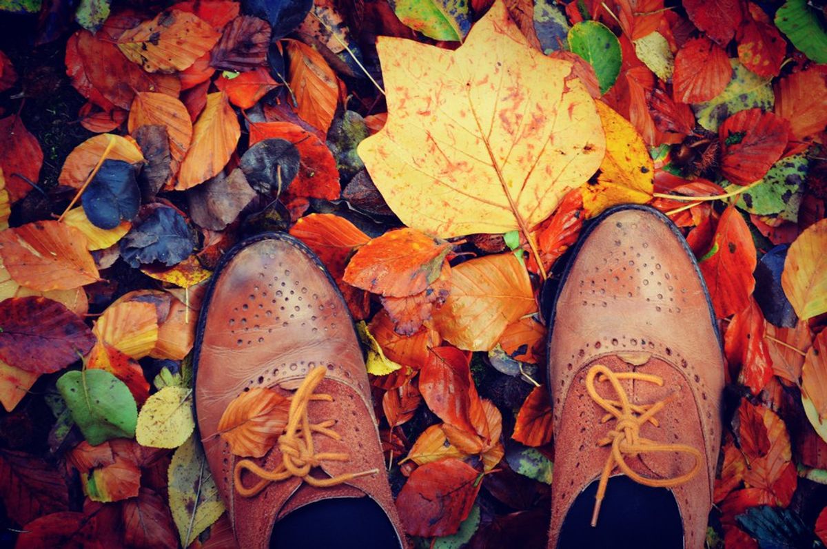 20 Reasons To Fall For Fall