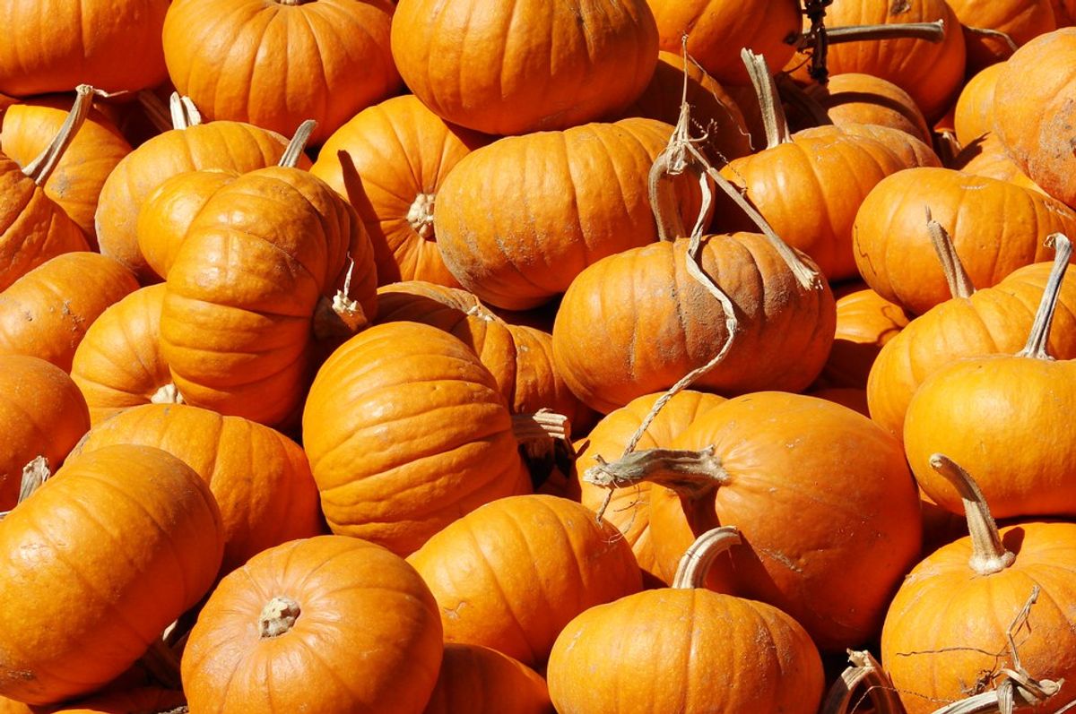 10 Ways to Get Your Pumpkin Fix