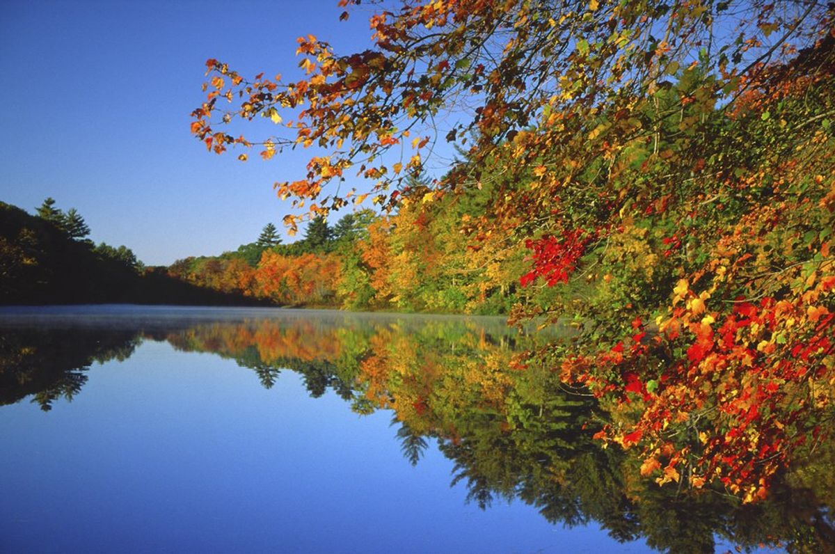 9 Ways To Make The Most Of Fall