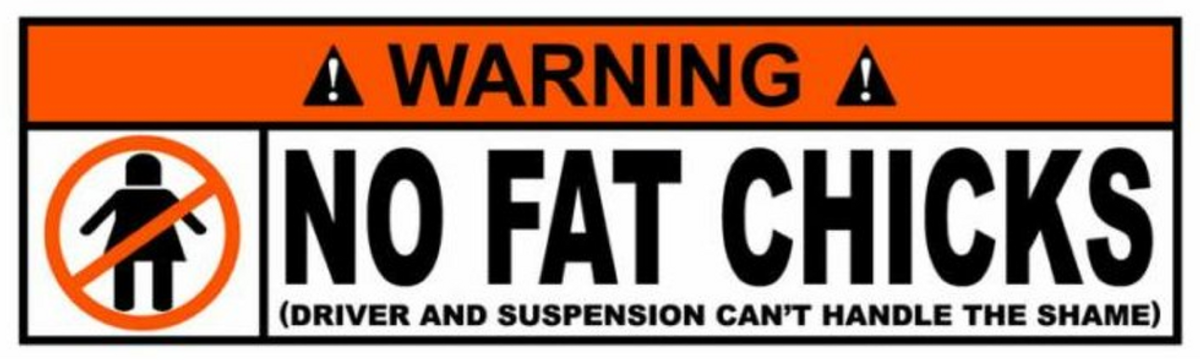 To The Guy With The "NO FAT CHICKS" Sticker On His Car