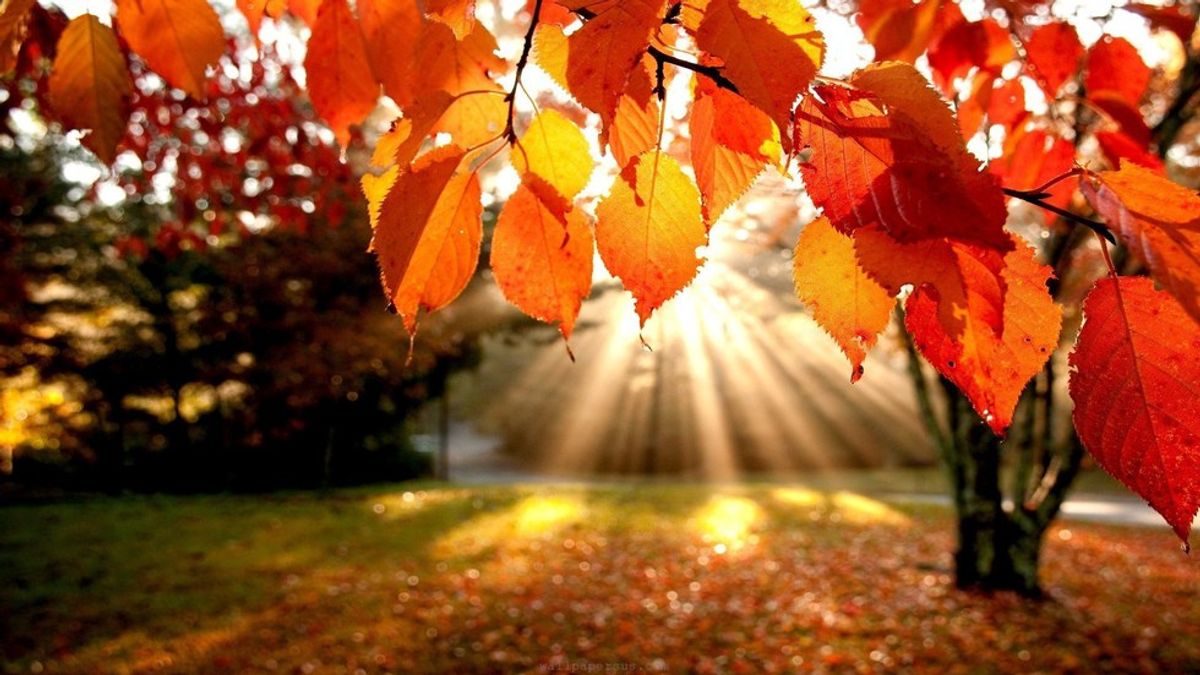 8 Reasons Why You Should Love Fall
