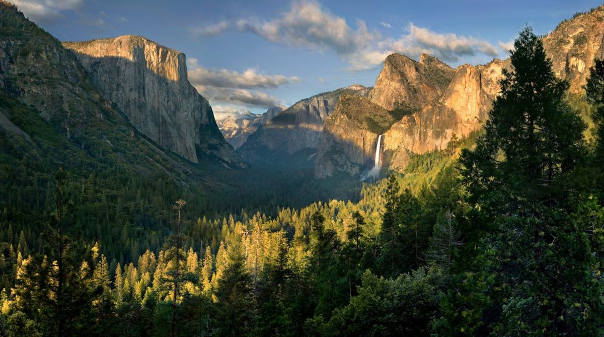 A Journey Through Yosemite National Park
