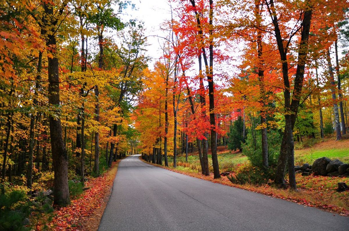 Top 5 Things To Do Outdoors In Fall