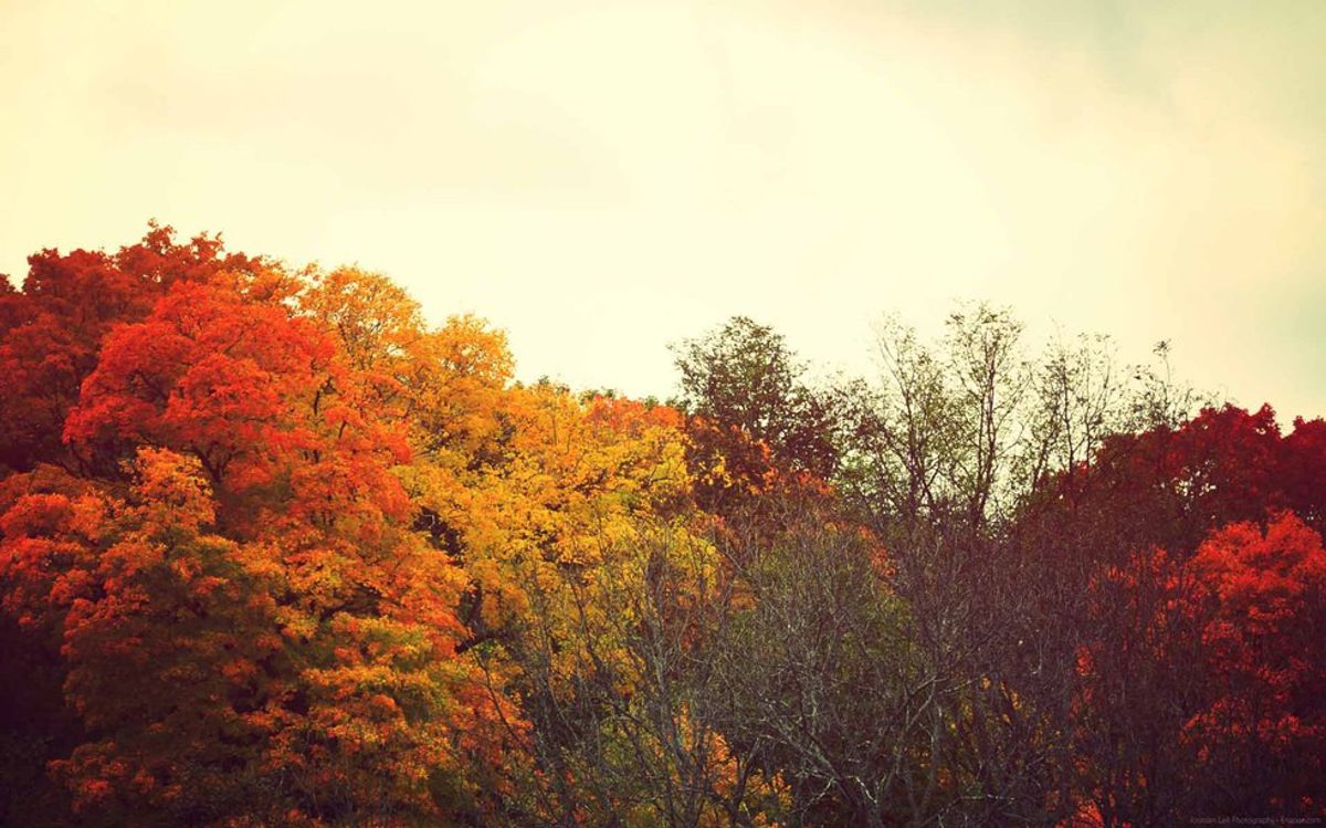 10 Things I Love About Fall