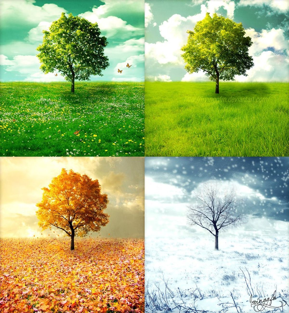 An Ode to the Seasons