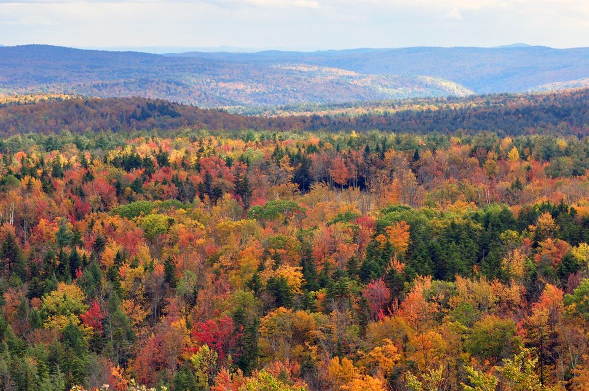 11 Things I Miss About Vermont