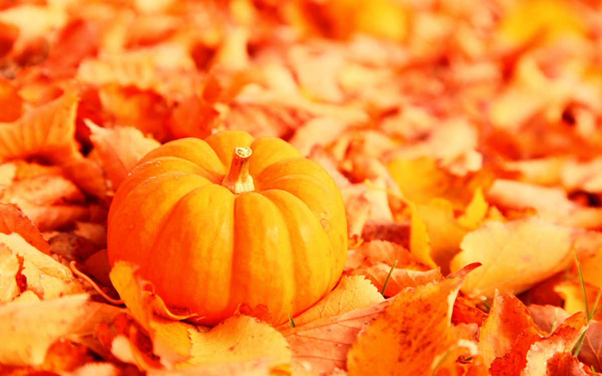 5 Reasons Why October Is Amazing