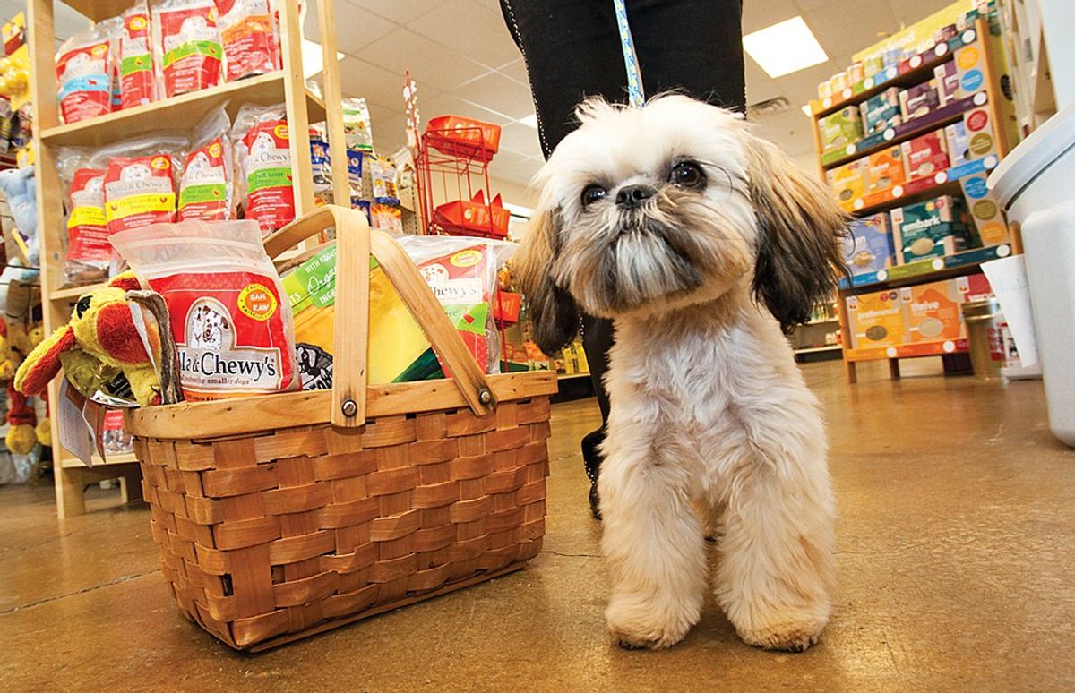 Pros and Cons of Working at a Pet Store