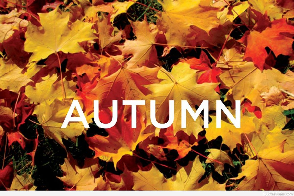 Why Fall is the Best Season Ever
