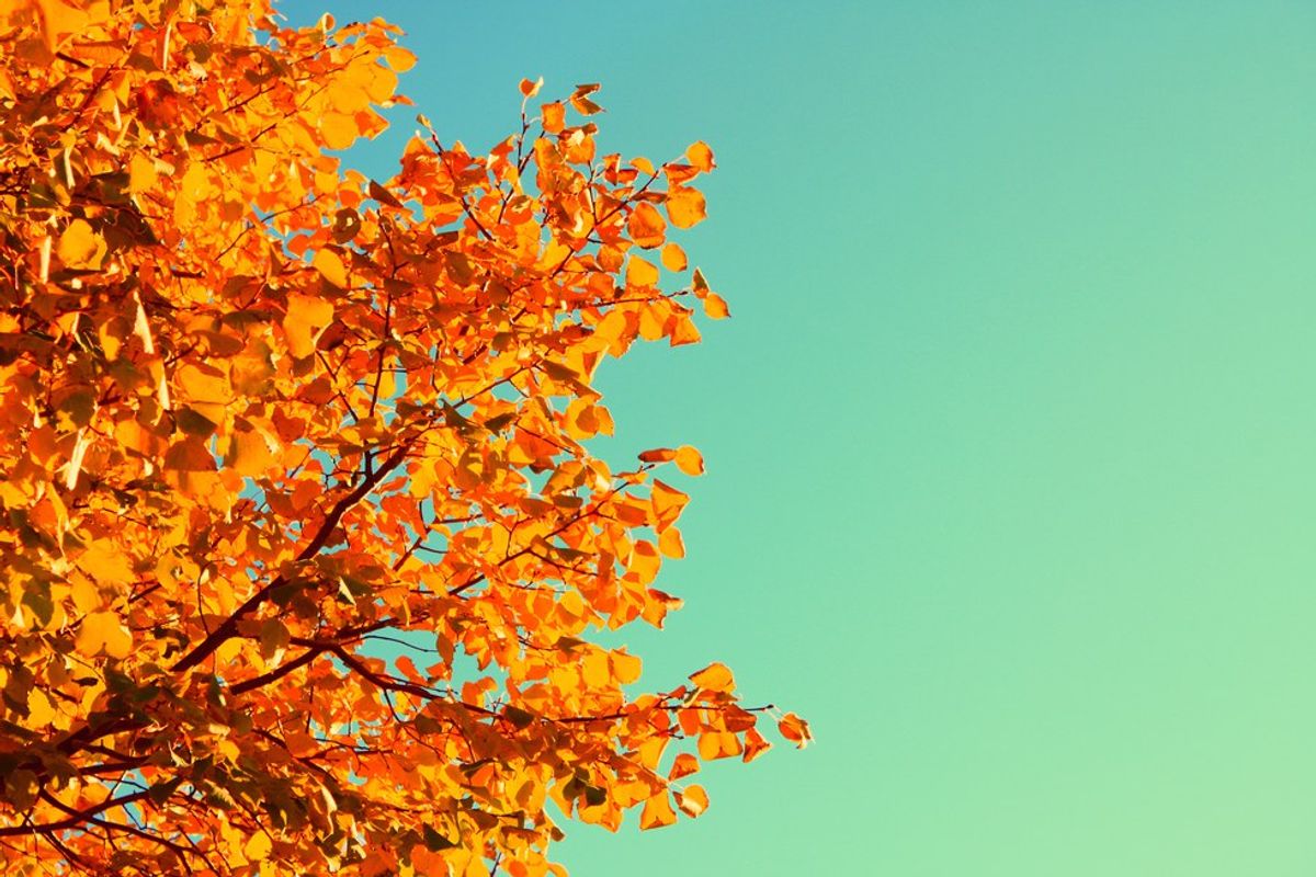 7 Ways To Stay Grounded This Fall