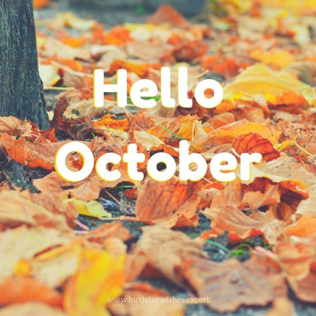 5 Reasons October Is The Greatest Month There Is