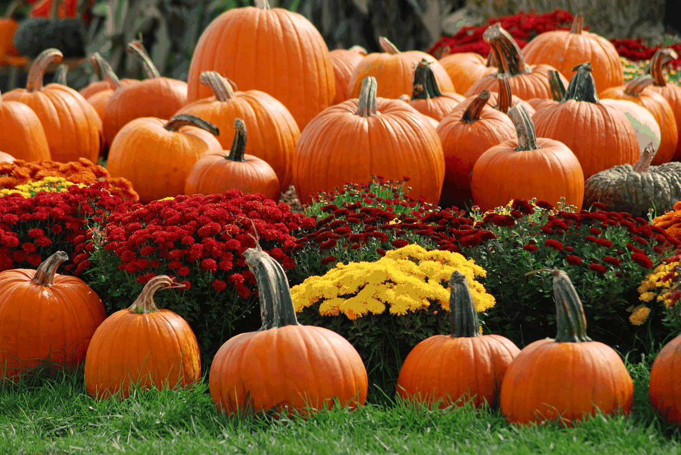 Five Reasons October Is The Best Month