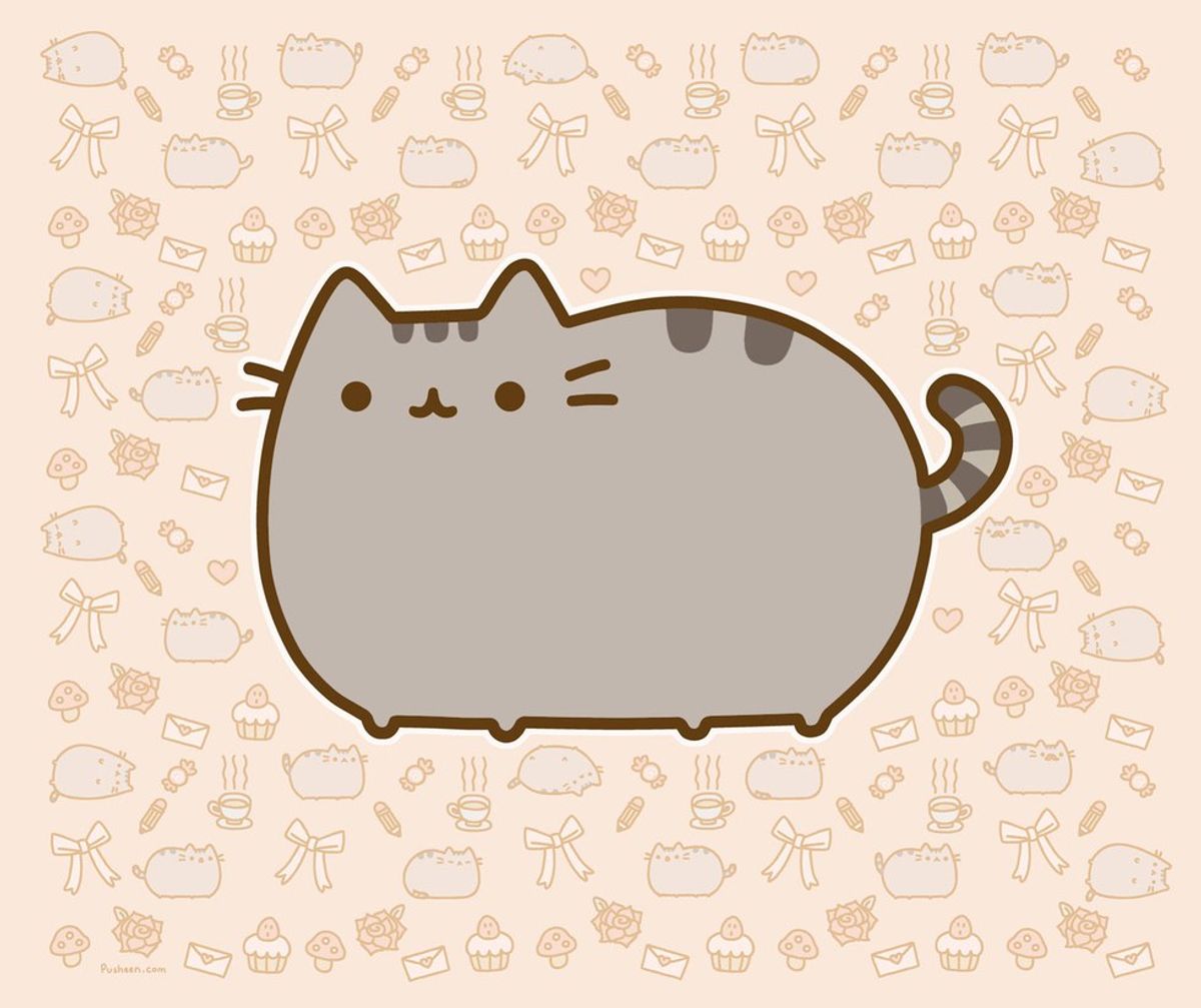 Make Your Own Pusheen Toy!