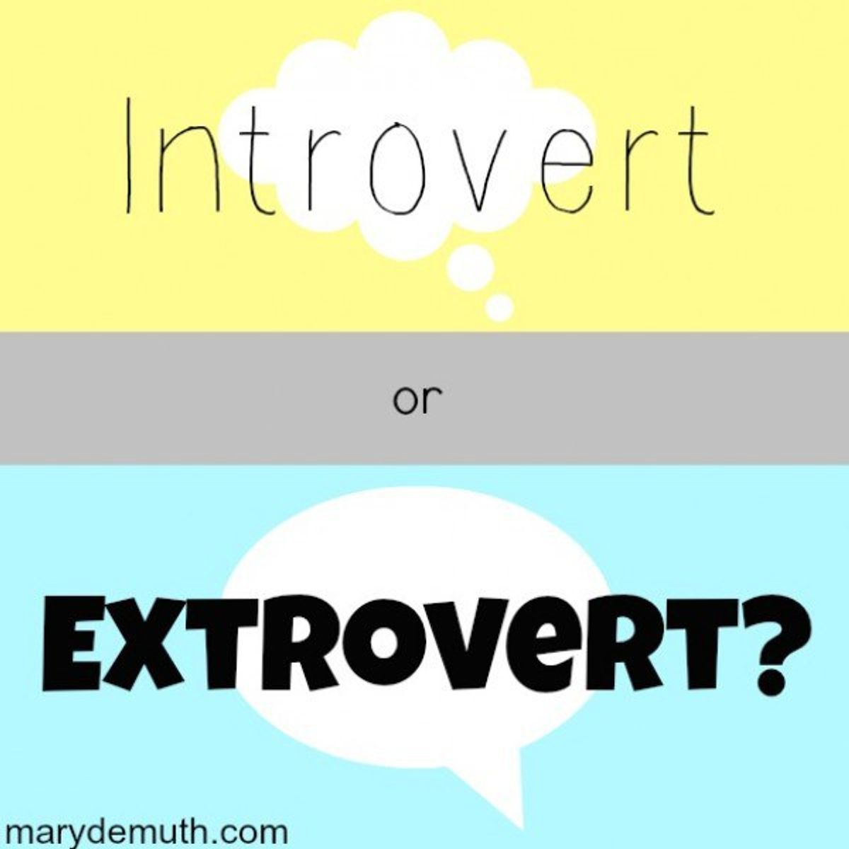 What It's Like When You're An Introvert And An Extrovert
