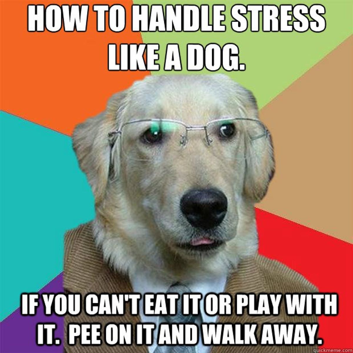 Stress Isn't Always A Bad Thing