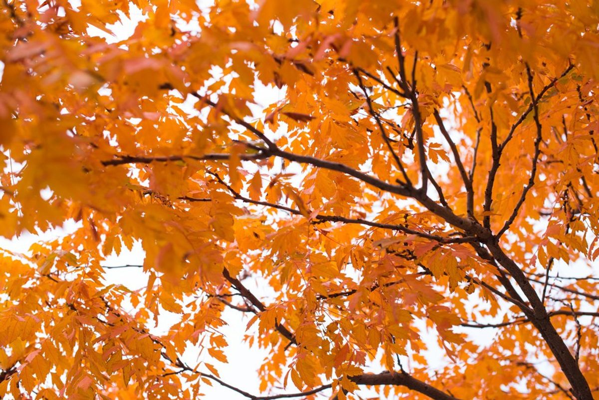 How To Embrace Change Eloquently This Fall