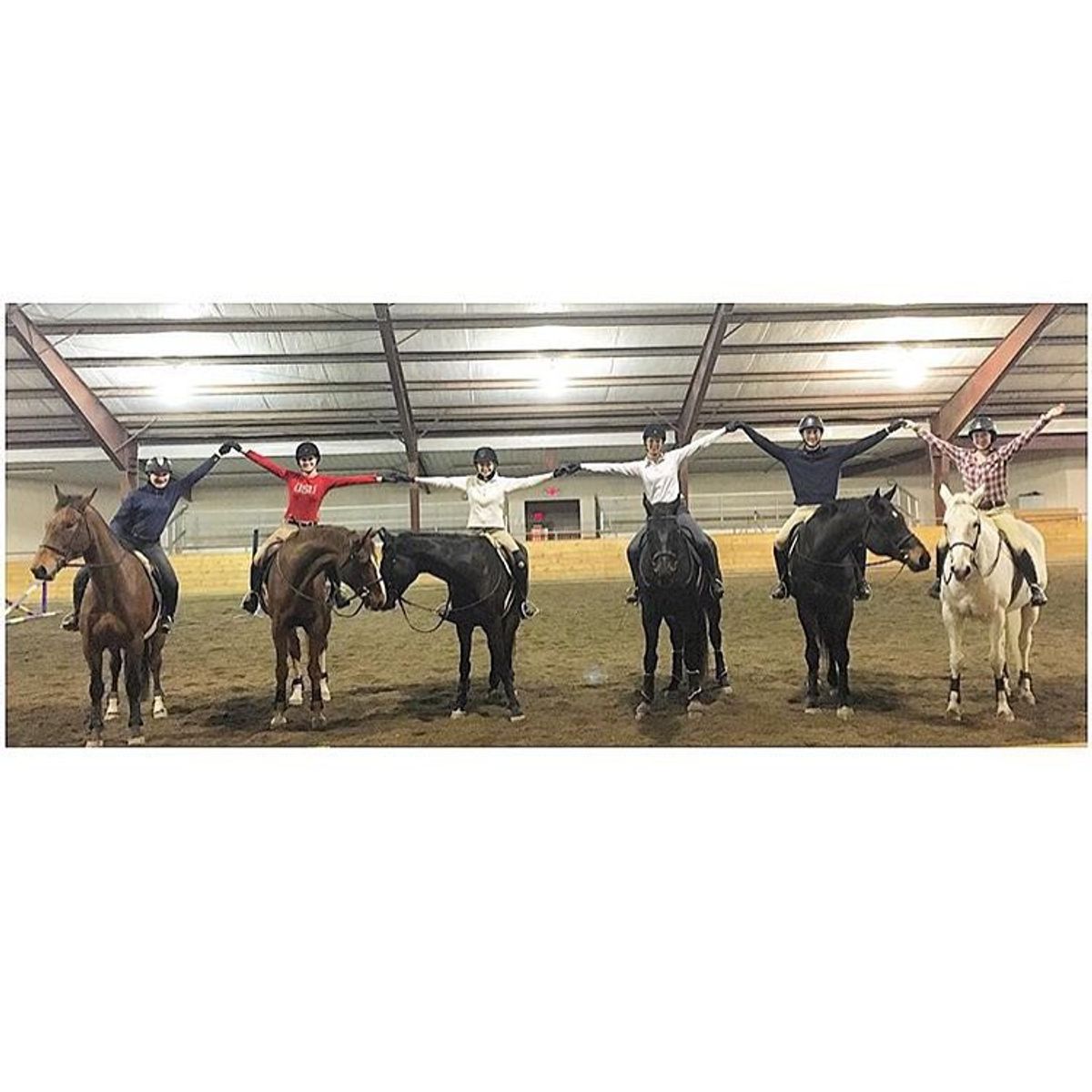Confessions Of A College Equestrian