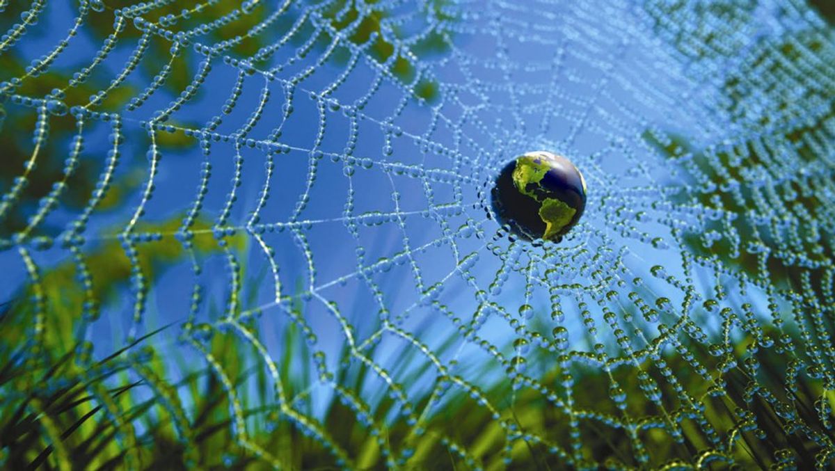 Why We Must Protect The Web Of Life