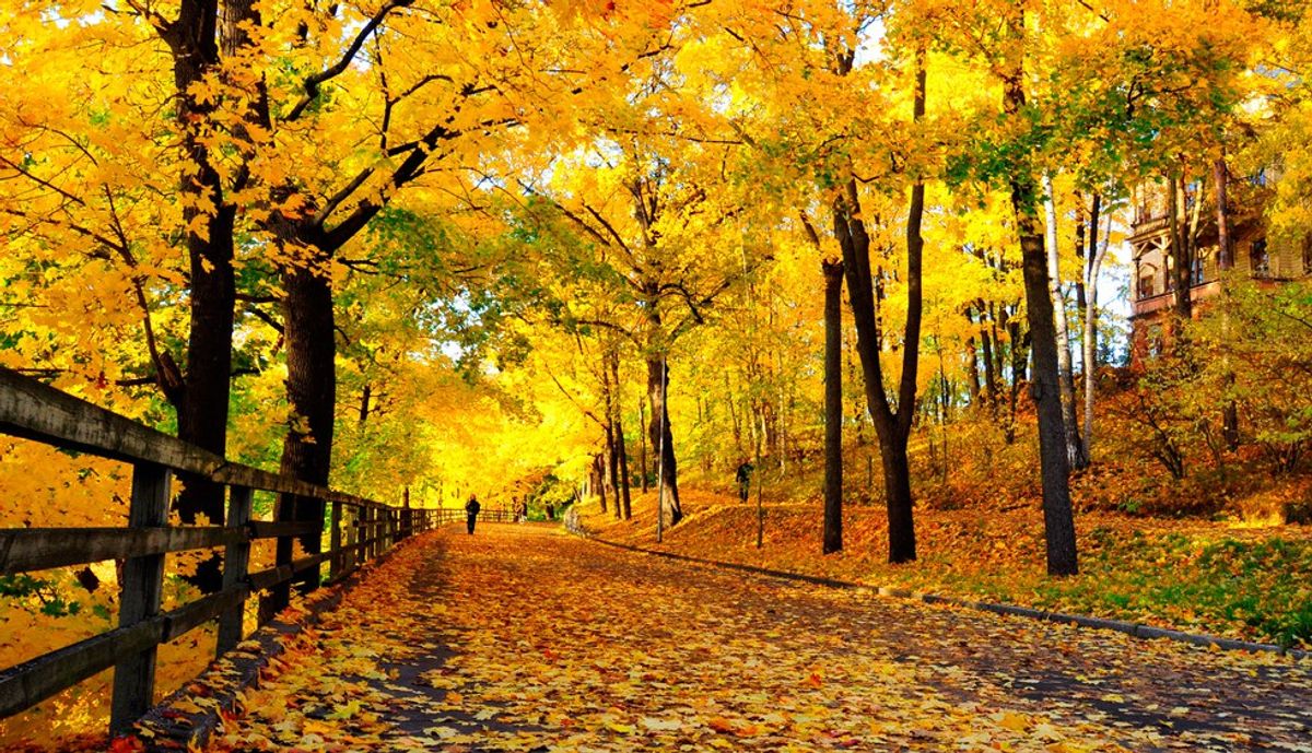 Why Fall Is The Coolest Season
