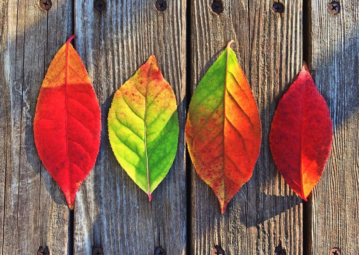 7 Reasons Why Fall Is A Great Season