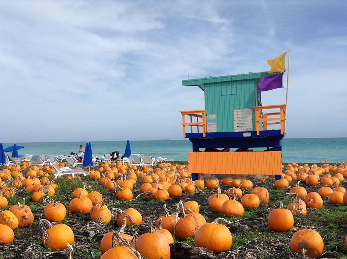 A Floridian's Guide To Enjoying Autumn In The Sunshine State