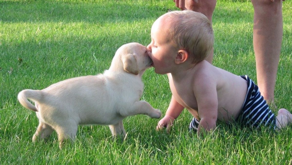 5 Reasons Why Having A Puppy Is Like Having A Baby