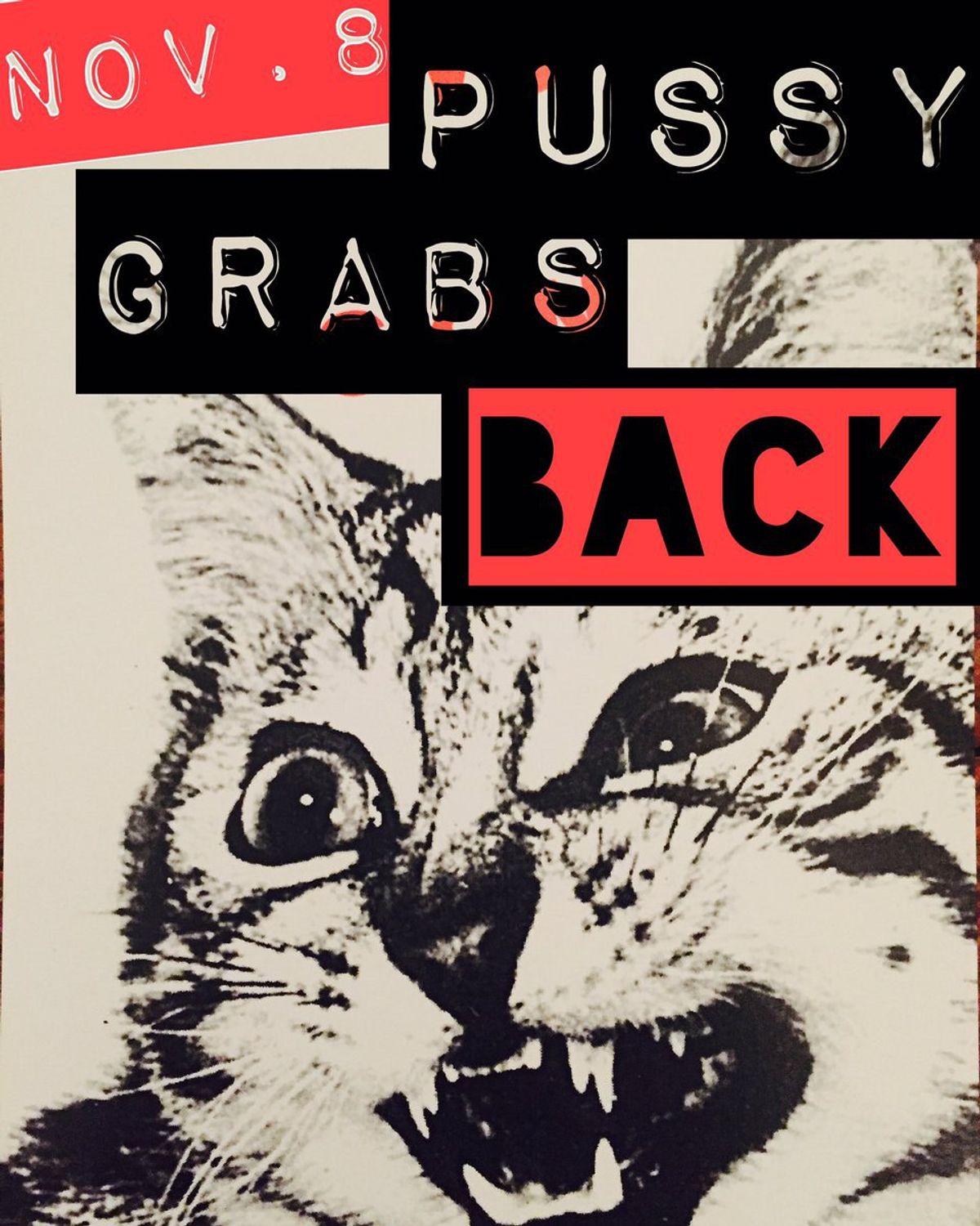 Nov. 8: The Day Pussy Grabs Back