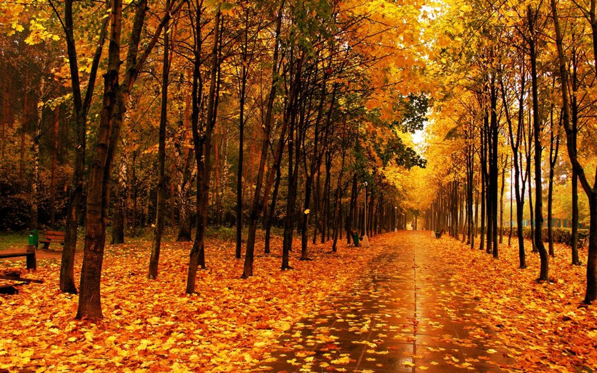 6 Reasons Why Fall is the Best
