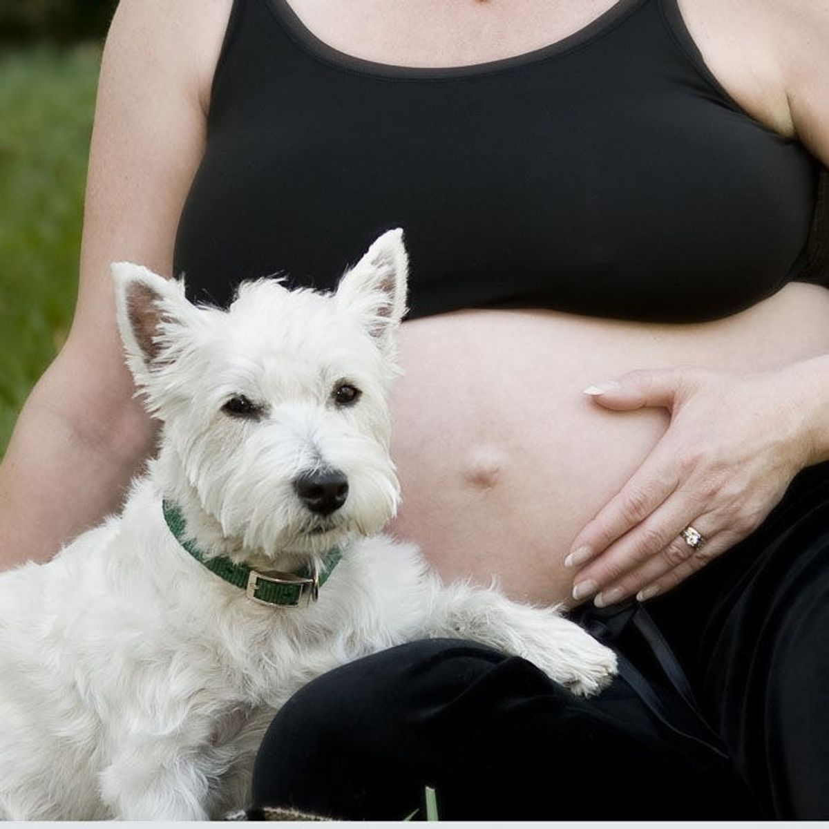 Dog & Baby Bonding Before Birth