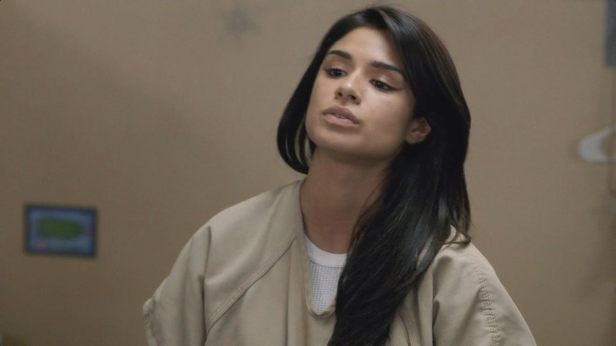 Thanks To You Diane Guerrero, I Am No Longer Silenced By Fear