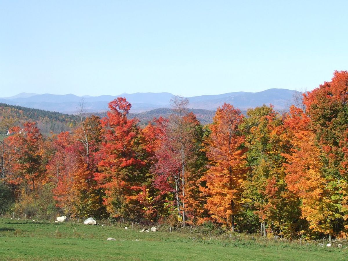 Why Fall is the Best Season in Maine