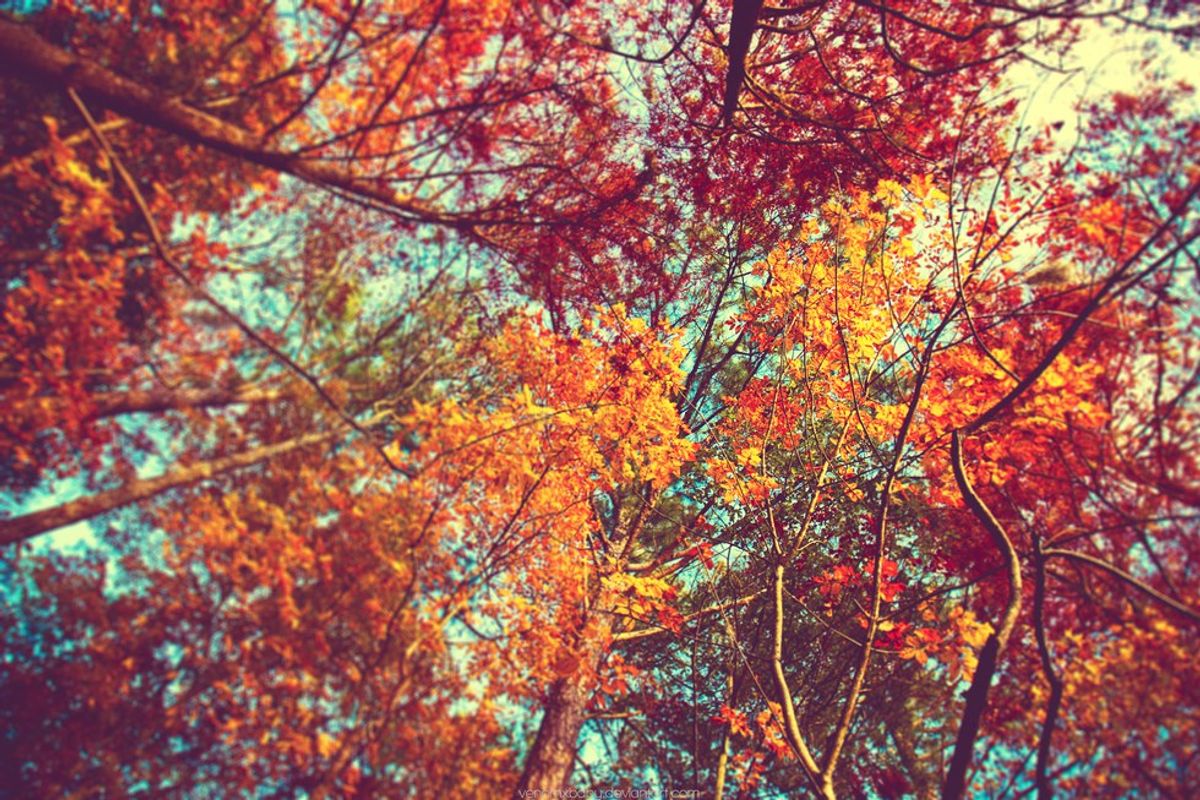 10 Reasons Why Fall Is One Of The Best Seasons