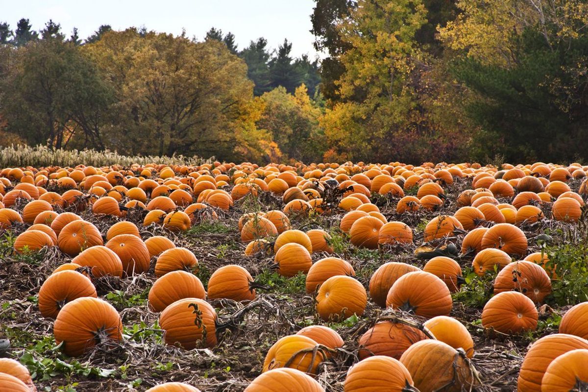 My Ten Favorite Things About Fall