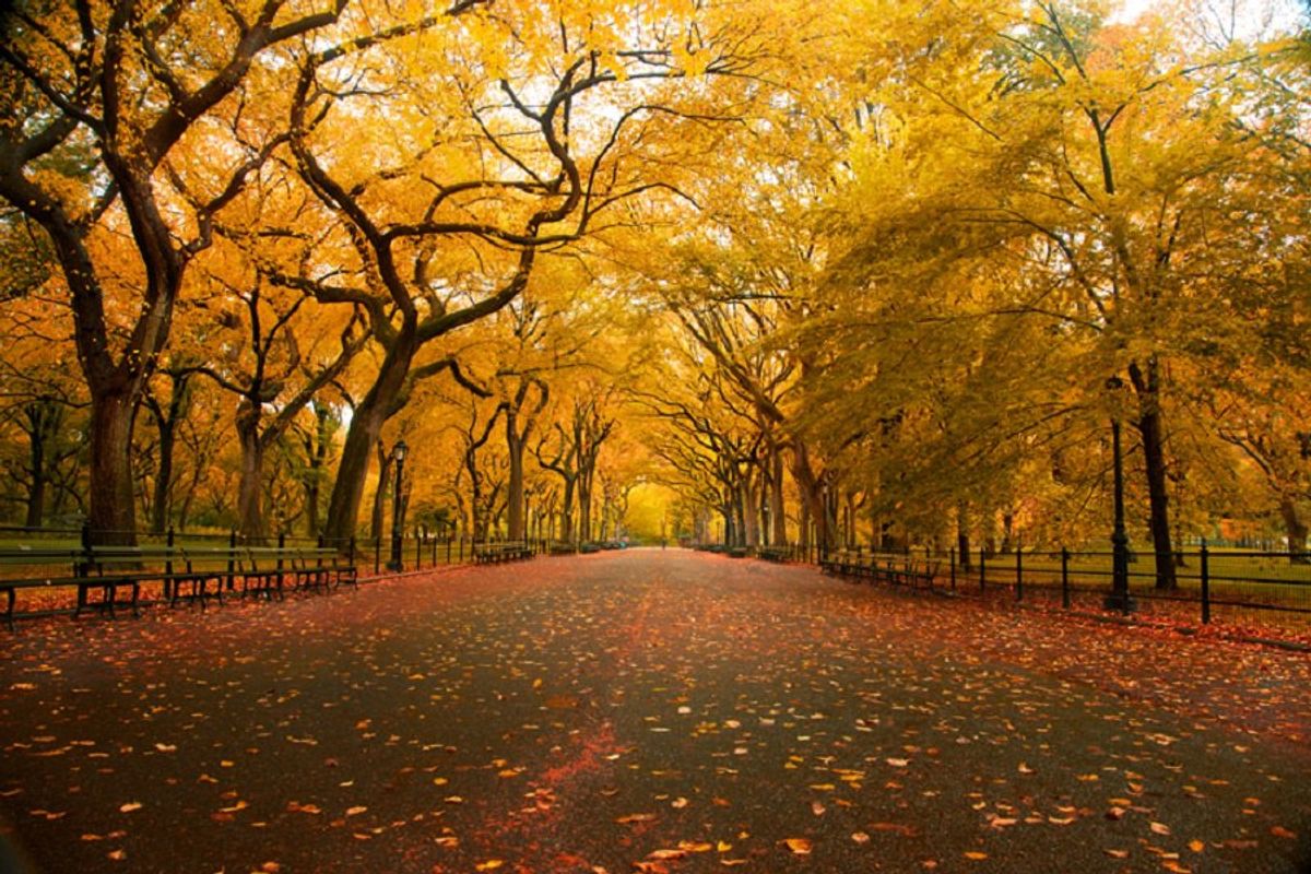 6 Things Do To This Fall In New York