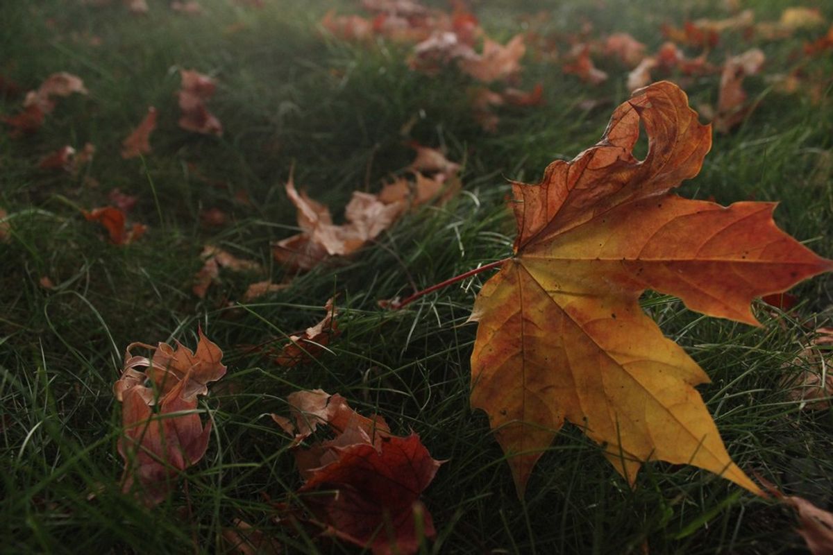 4 Tunes Perfect For Autumn
