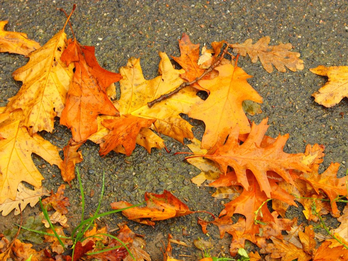 6 Things I Love About Fall