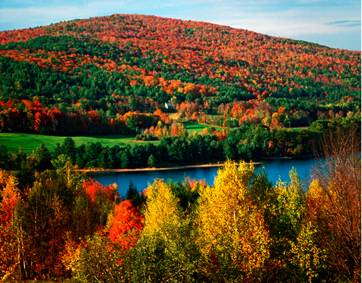 5 Things Northerners Miss About Real Fall