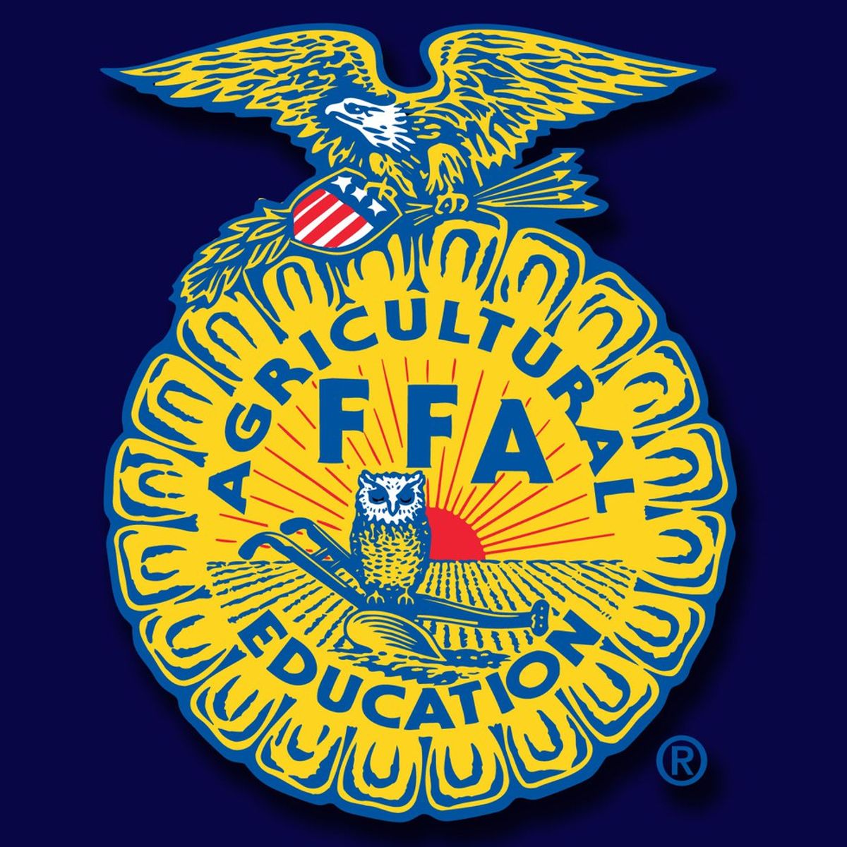 Open Letter To Anyone Thinking About Joining FFA