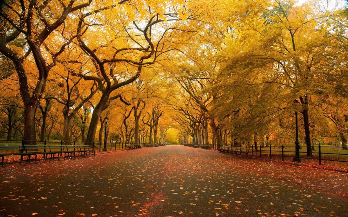 Central Park: A Poem