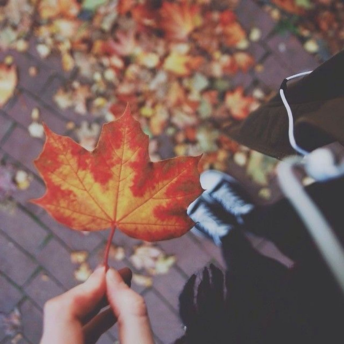 14 quotes to help you get in the spirit of fall