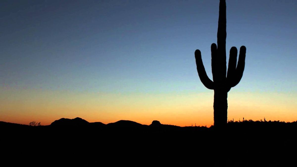 16 Signs That You're a True Arizonian