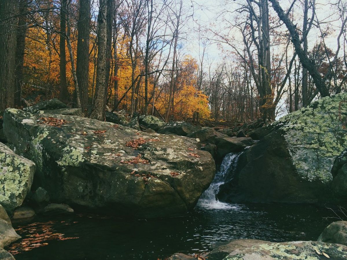 Why Fall Is The Perfect Time To Enjoy The Great Outdoors