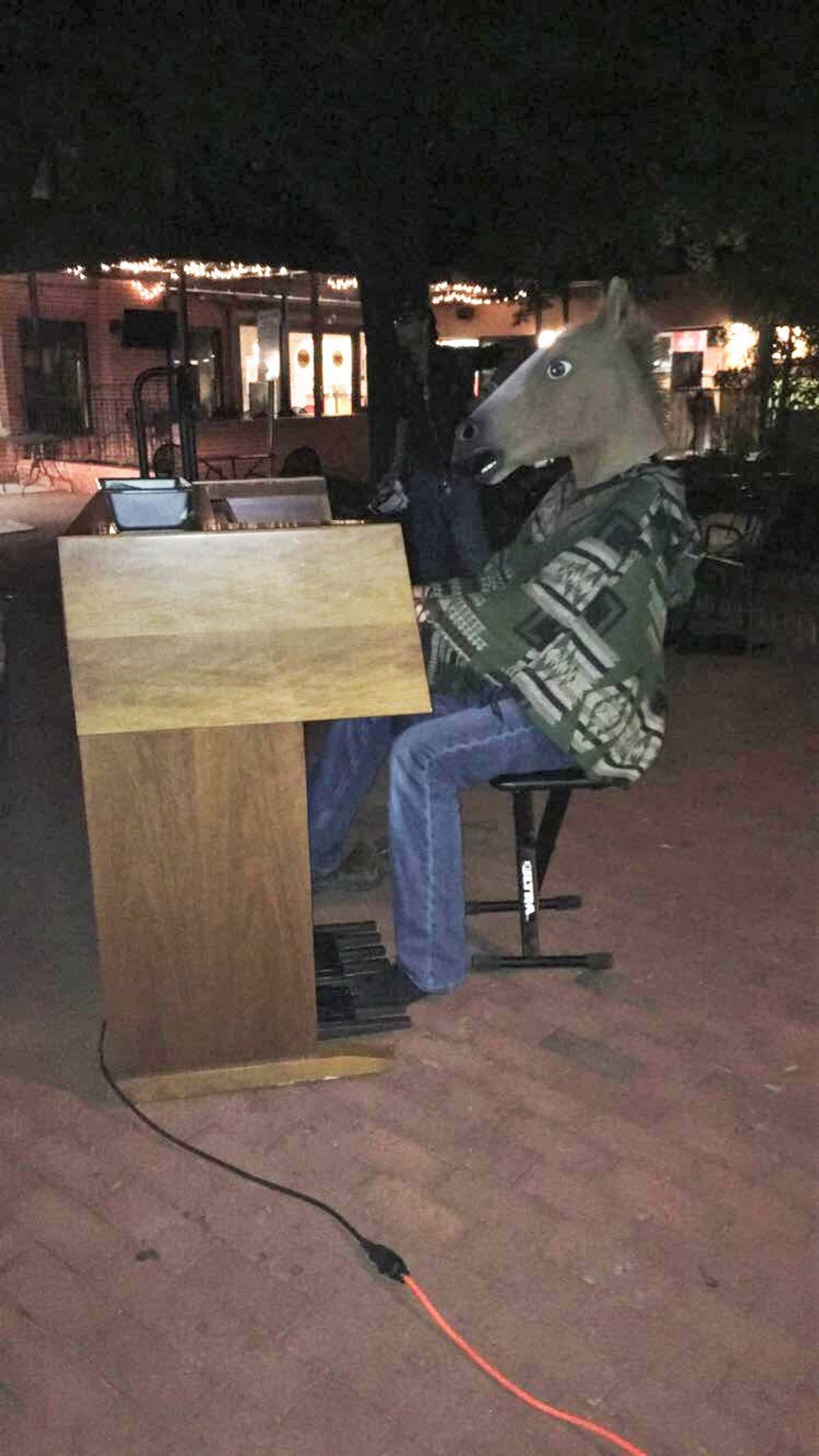 'Support Your Local Artists': Horse Plays Piano On Franklin Street