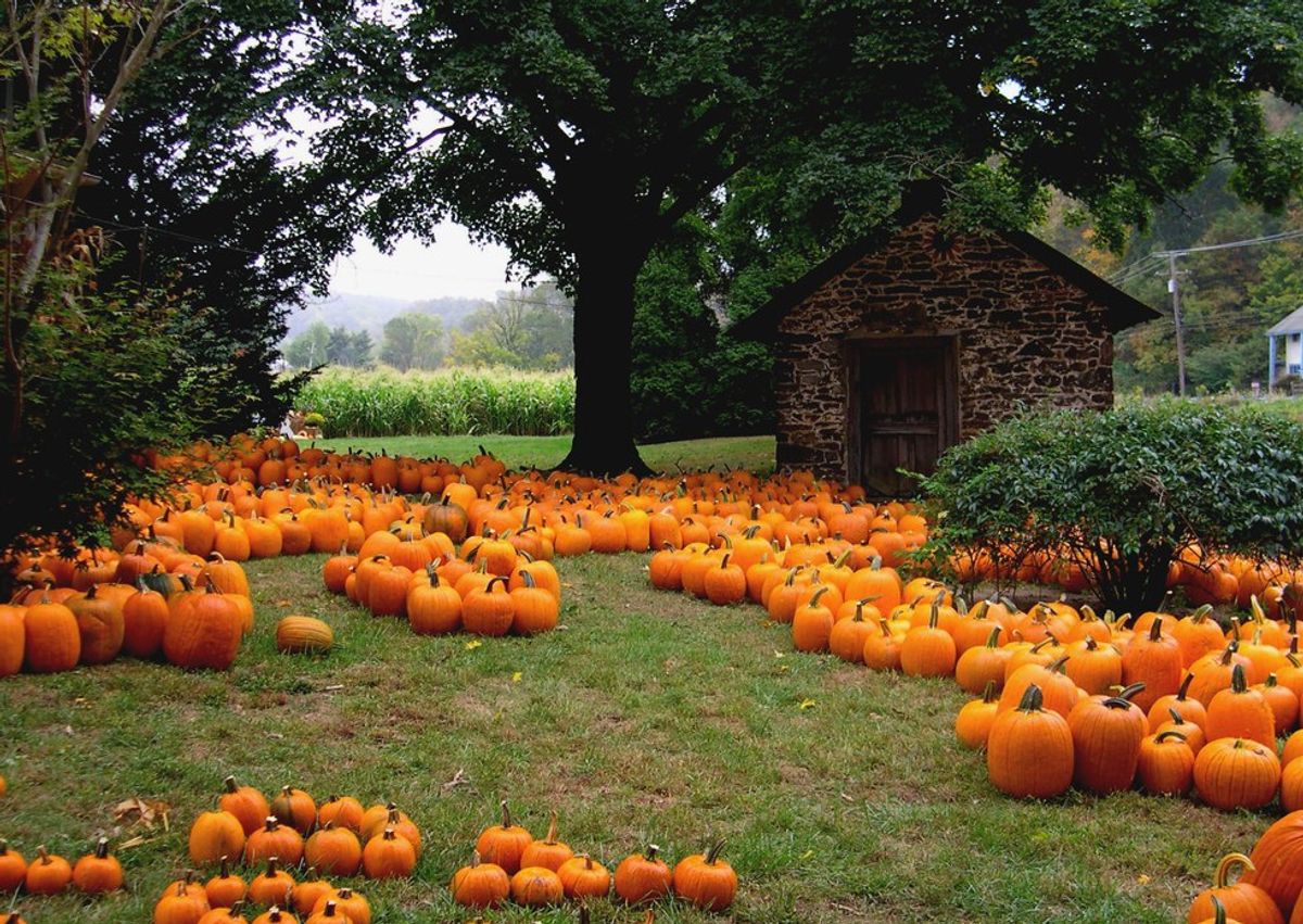 10 Reasons Why October Is The Best Month