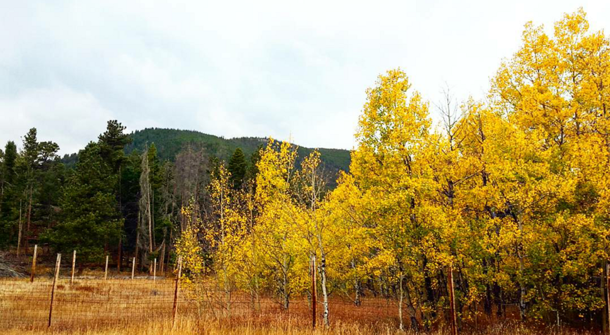 Things To Do in the Fort Collins Area During Fall and Winter