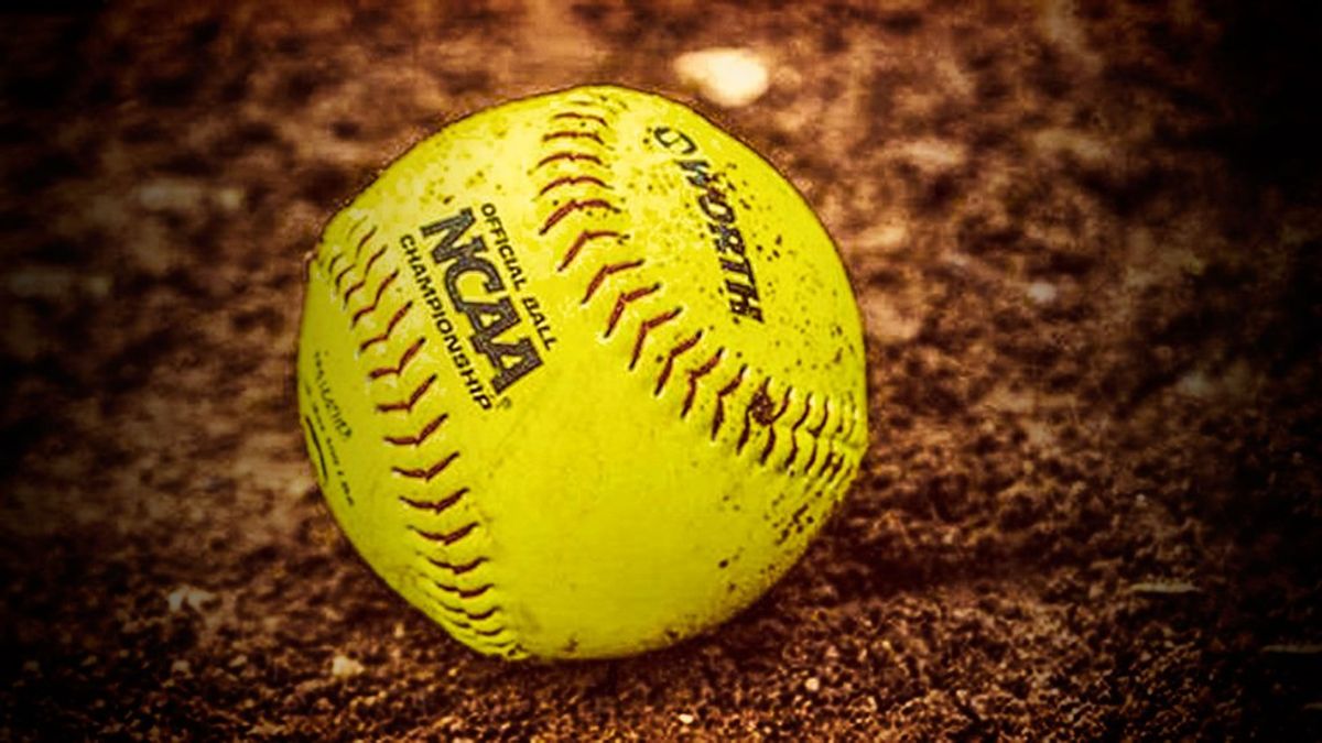 11 Different Types Of Softball Players