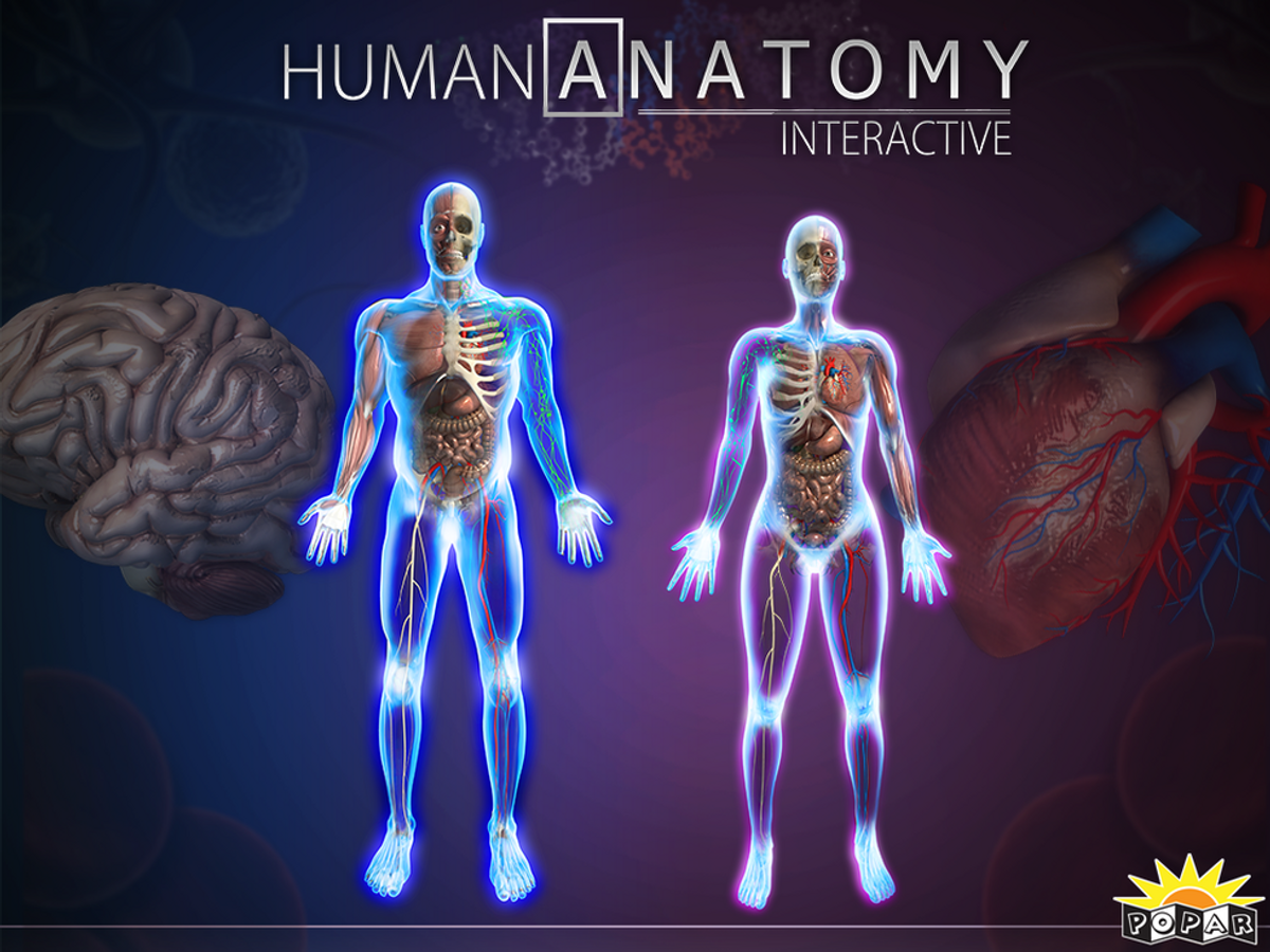 Learning the Entire Human Body in 3 Weeks