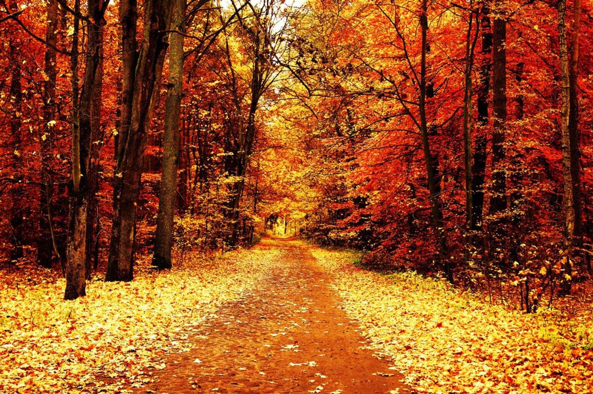 8 Reasons to Fall in Love with Fall